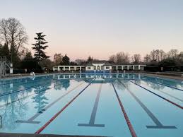 Image result for Cheltenham Swimming & Water Polo Club