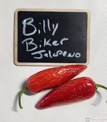 Afbeeldingsresultaat voor biker billy jalapeno hot pepper