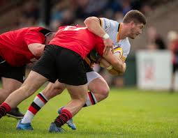 Image result for Stirling Wolves