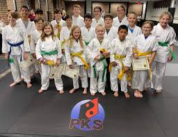Image result for COURT FIELDS karate Academy