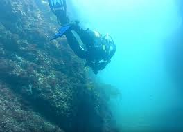 Image result for Eltham and District Sub Aqua Club