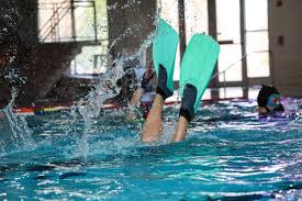 Image result for Plymouth Underwater Hockey Club