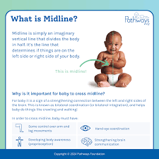 Image result for body midline