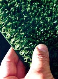 Image result for Astroturf