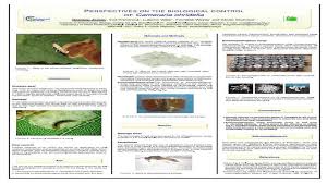 Attēlu rezultāti vaicājumam “Cameraria ohridella”