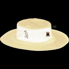 Image result for Worlingworth Cricket Club