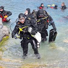 Image result for Guildford British Sub Aqua Club