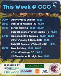 Image result for Farncombe Cricket Club