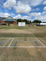 Image result for Louth Cricket Club
