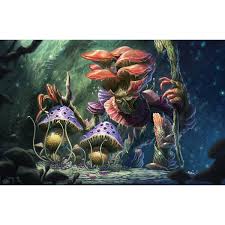 Attēlu rezultāti vaicājumam “Diderma montanum var. album spores”