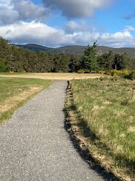 Image result for BALLATER & VICINITY SCRABBLE CLUB