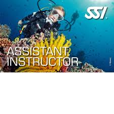 Image result for Looe Diving Club