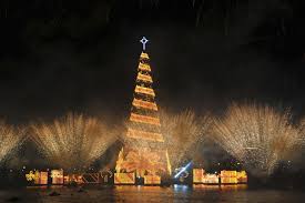 مجموعة صور لأجمل ـشجرة عيد الميلاد - صفحة 3 Images?q=tbn:ANd9GcQKbn75otyoViR18upFknbuLWTl4Ga260tX3kuwM2xVfI1xXQ4EUg