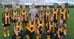 Image result for United in the Community - Boston Player Development Centres