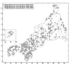 Attēlu rezultāti vaicājumam “Plagiothecium succulentum”