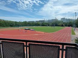 Image result for Battersea Park Millennium Arena