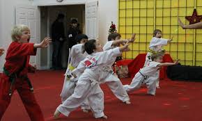 Image result for ATA Martial Arts Maple Ridge
