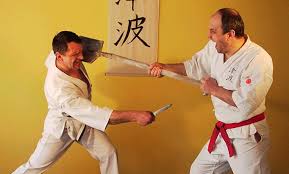 Image result for Tsunami Karate Club