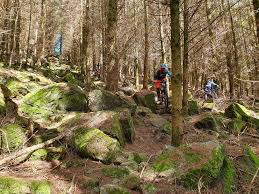 Image result for Bigfoot MTB Club