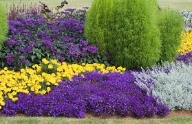 Image result for Männertreu