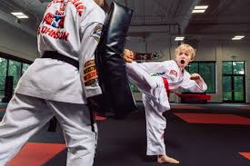 Image result for ATA Martial Arts Mobile
