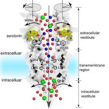 Image result for inkscape diagrams