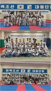 Image result for International Tae Kwon Do Academy