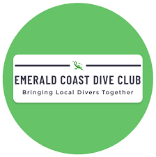 Image result for 3D Diving Club