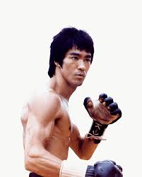 Image result for Somerset Jeet Kune Do