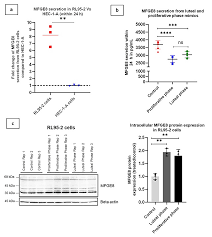 Image result for University of Sheffield Ultimate- Phat 'eds