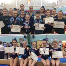 Image result for Blandford Forum Gymnastics & Kanga Club