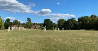 Image result for Peper Harow Cricket Club