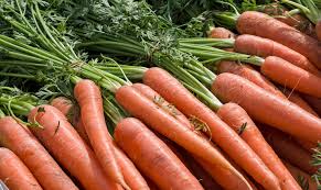 Image result for Möhren