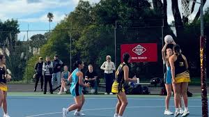 Image result for Top Corner Hoxton Netball
