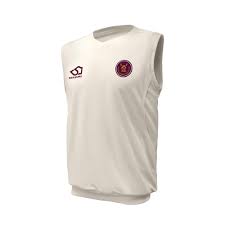 Image result for All Cannings Cricket Club