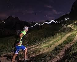 Image result for Calibre Performance Coaching