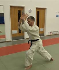 Image result for Goryukai Aikido Yoshinkan (Chichester)