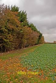 Image result for Ickleford Sports & Recreation Club