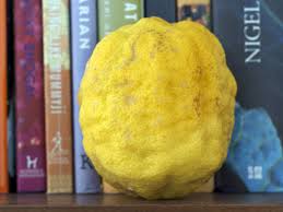 Attēlu rezultāti vaicājumam “Libanotis montana fruit”