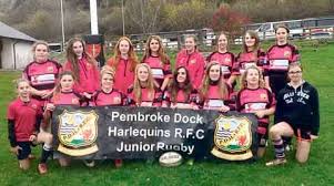 Image result for Pembroke Dock Harlequins RFC