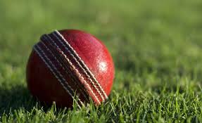 Image result for Brislington Cricket Club