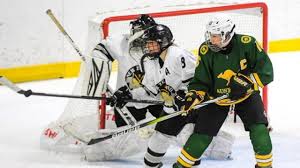 Image result for Ice Hockey International