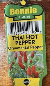 Afbeeldingsresultaat voor thai bird pepper hot pepper
