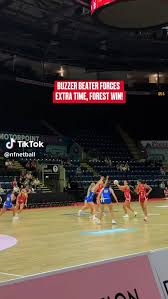 Image result for Ripley Netball Club