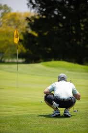 Image result for Flint Golf Club