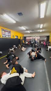 Image result for Pyramid martial arts