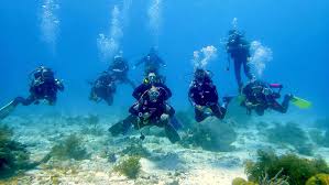 Image result for Bedford Scuba Divers