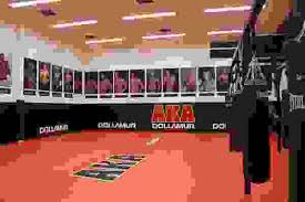 Image result for American Kick Boxing Club