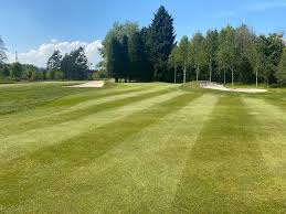 Image result for Newton Abbot Somersaults Gc