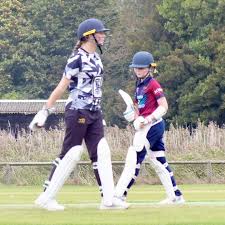 Image result for Aldwick Cricket Club